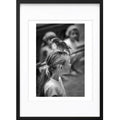 " Joli Perchoir " PHOTO GALERIE
