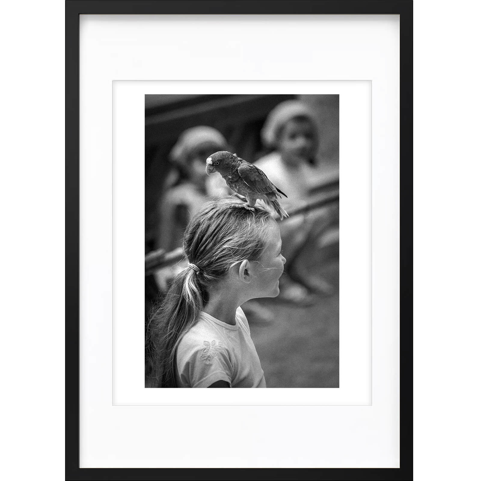 " Joli Perchoir " PHOTO GALERIE