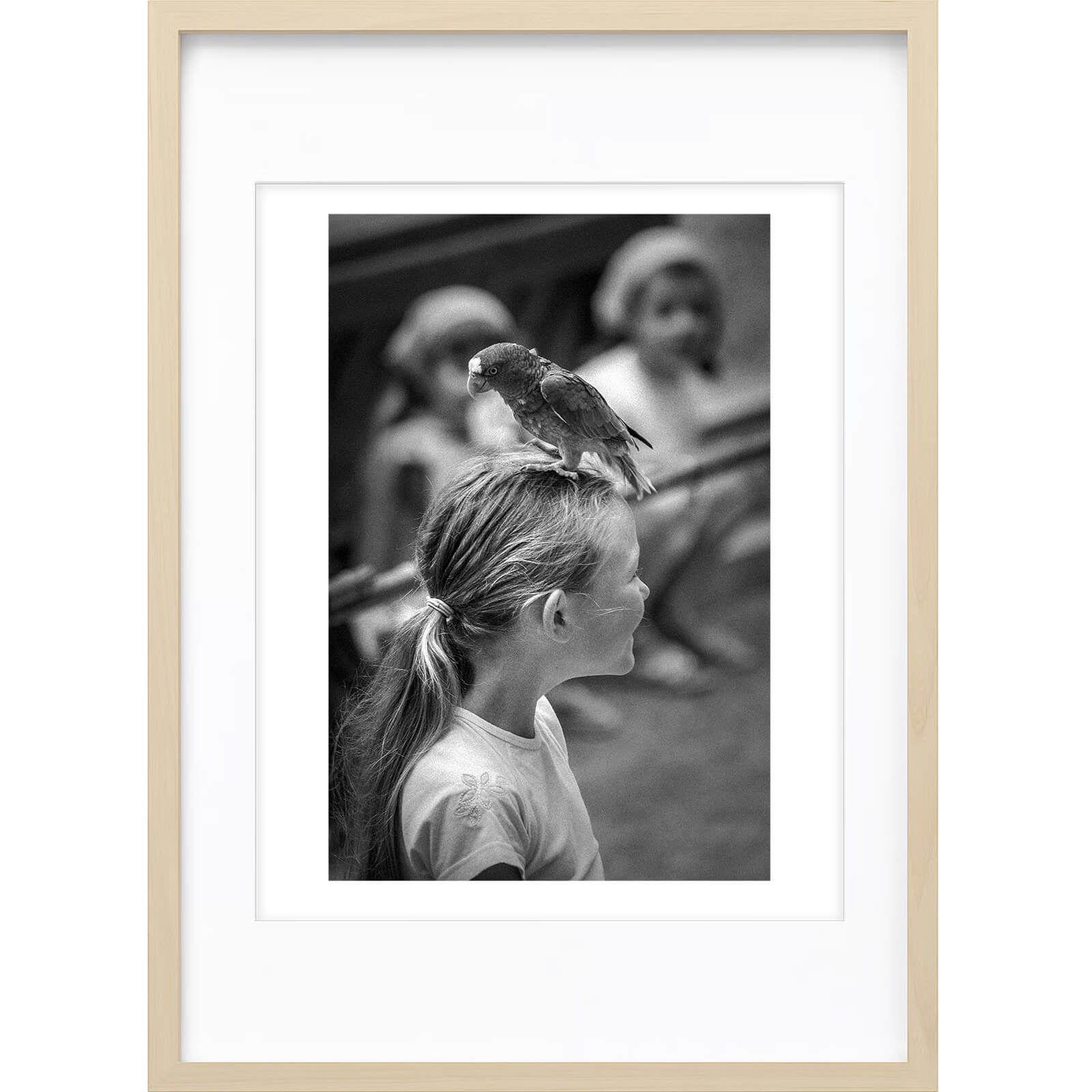 " Joli Perchoir " PHOTO GALERIE