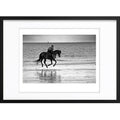 " Cheval de Mer " PHOTO GALERIE