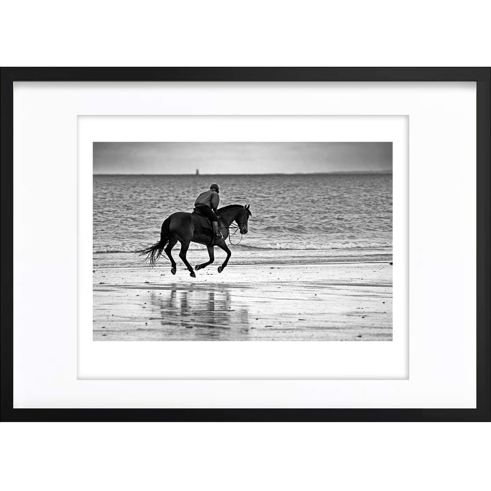 " Cheval de Mer " PHOTO GALERIE