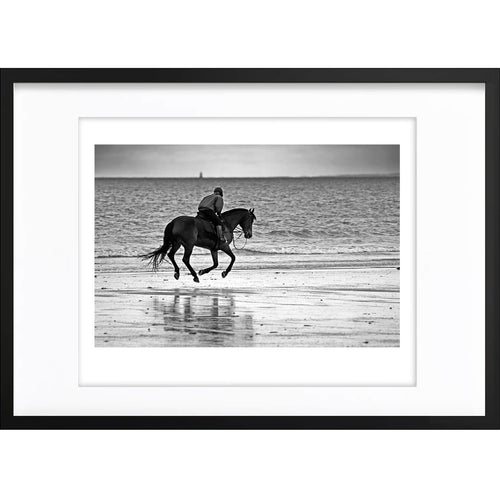 " Cheval de Mer " PHOTO GALERIE