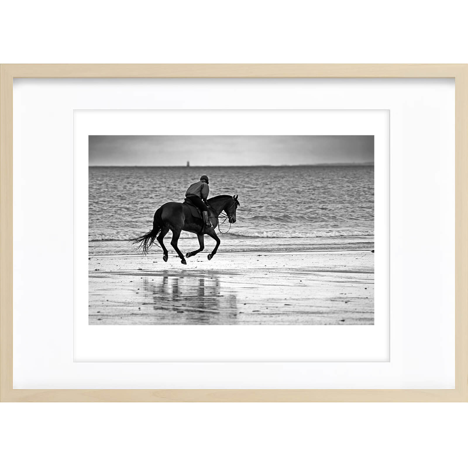 " Cheval de Mer " PHOTO GALERIE