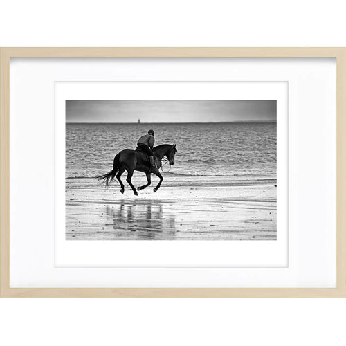 " Cheval de Mer " PHOTO GALERIE