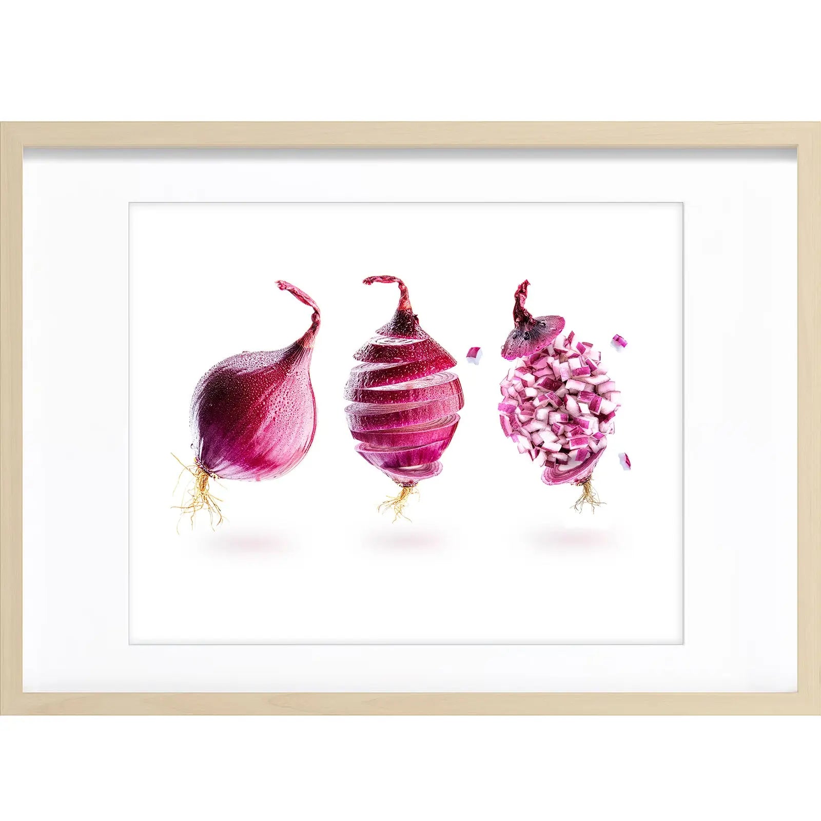 " Les Échalottes Volantes " PHOTO GALERIE