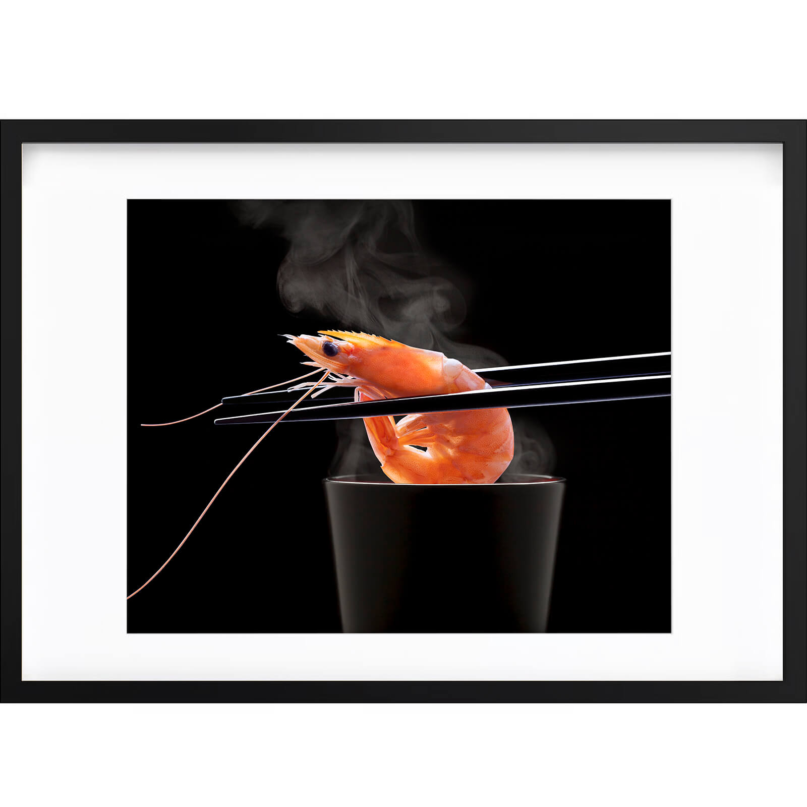 " Toujours la Crevette ! " PHOTO GALERIE