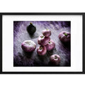 " Les Navets " PHOTO GALERIE