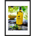 " Huile Terra Delyssa “ PHOTO GALERIE