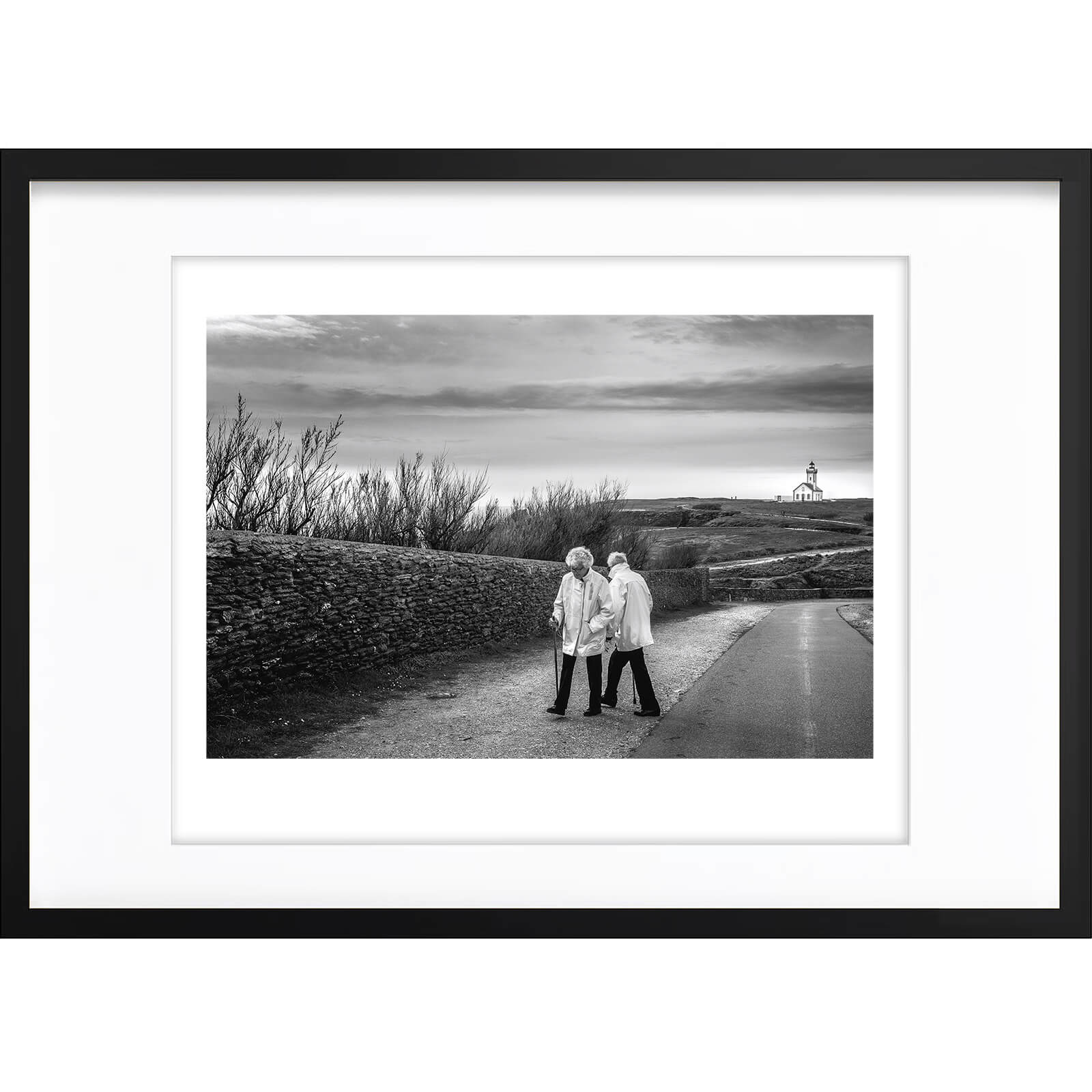 " Les Dames de la Côte " PHOTO GALERIE