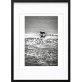 " Chien Courant " PHOTO GALERIE