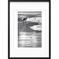 " Cueillette de Mer " PHOTO GALERIE
