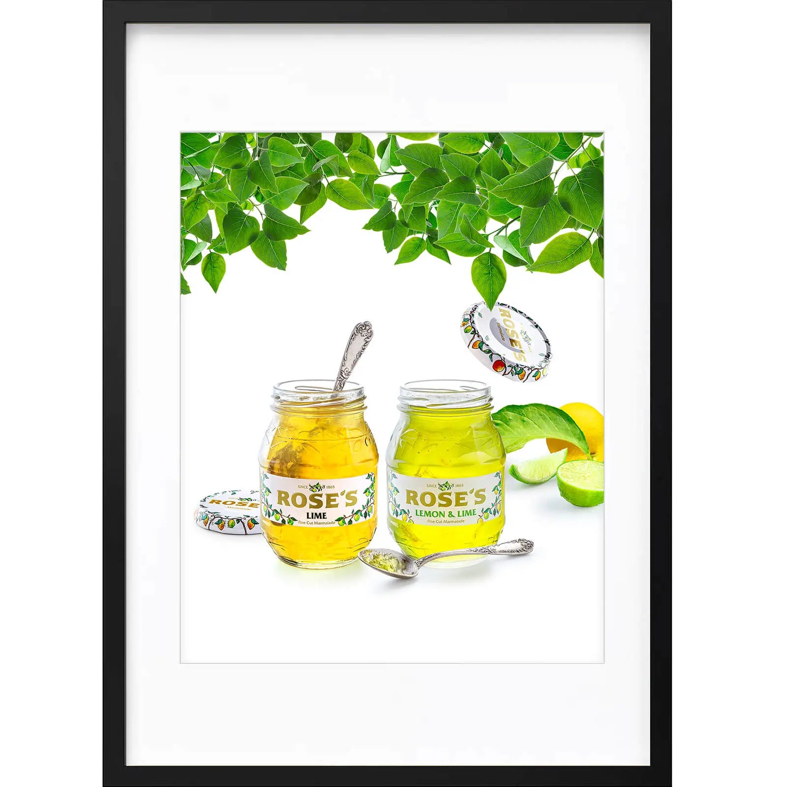 " Confiture Rose's " PHOTO GALERIE