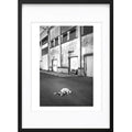 " Attention au Chien ! " PHOTO GALERIE
