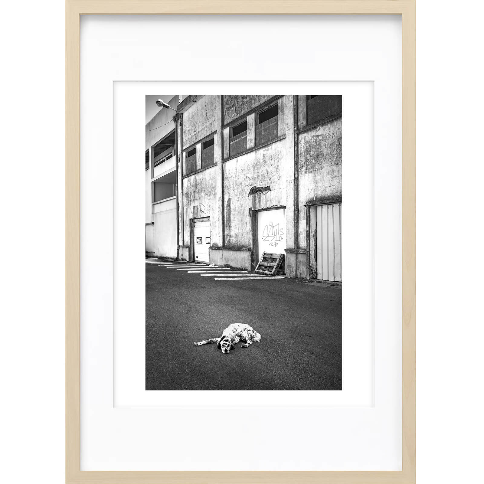 " Attention au Chien ! " PHOTO GALERIE