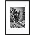 " Langoustine Vivante " PHOTO GALERIE