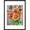 " Araignée de Mer " PHOTO GALERIE
