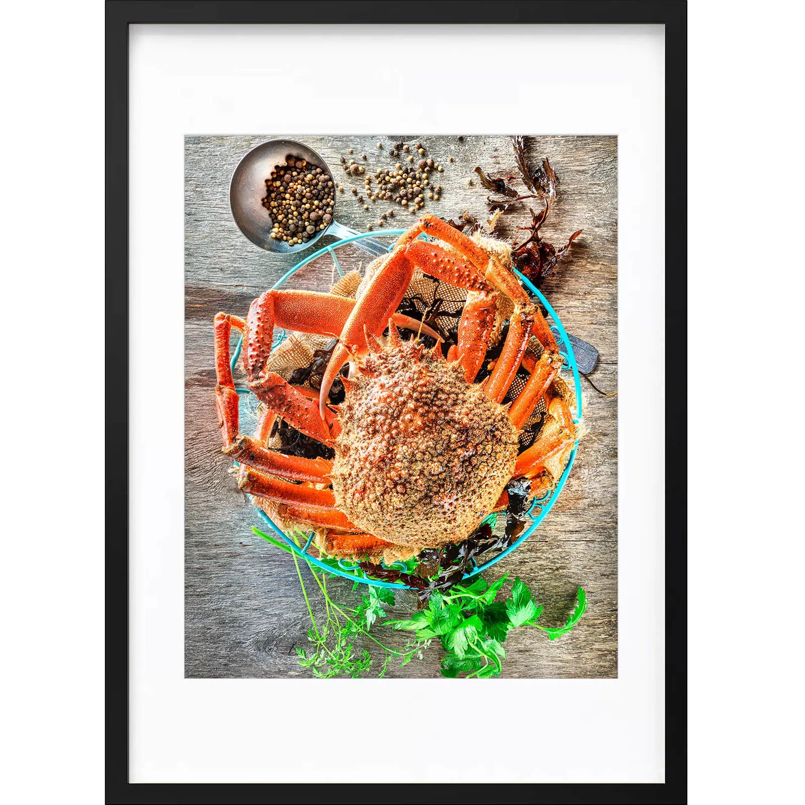 " Araignée de Mer " PHOTO GALERIE