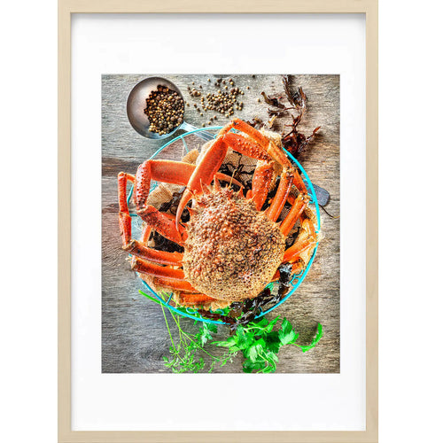 " Araignée de Mer " PHOTO GALERIE
