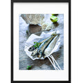 " Les Sardines " PHOTO GALERIE
