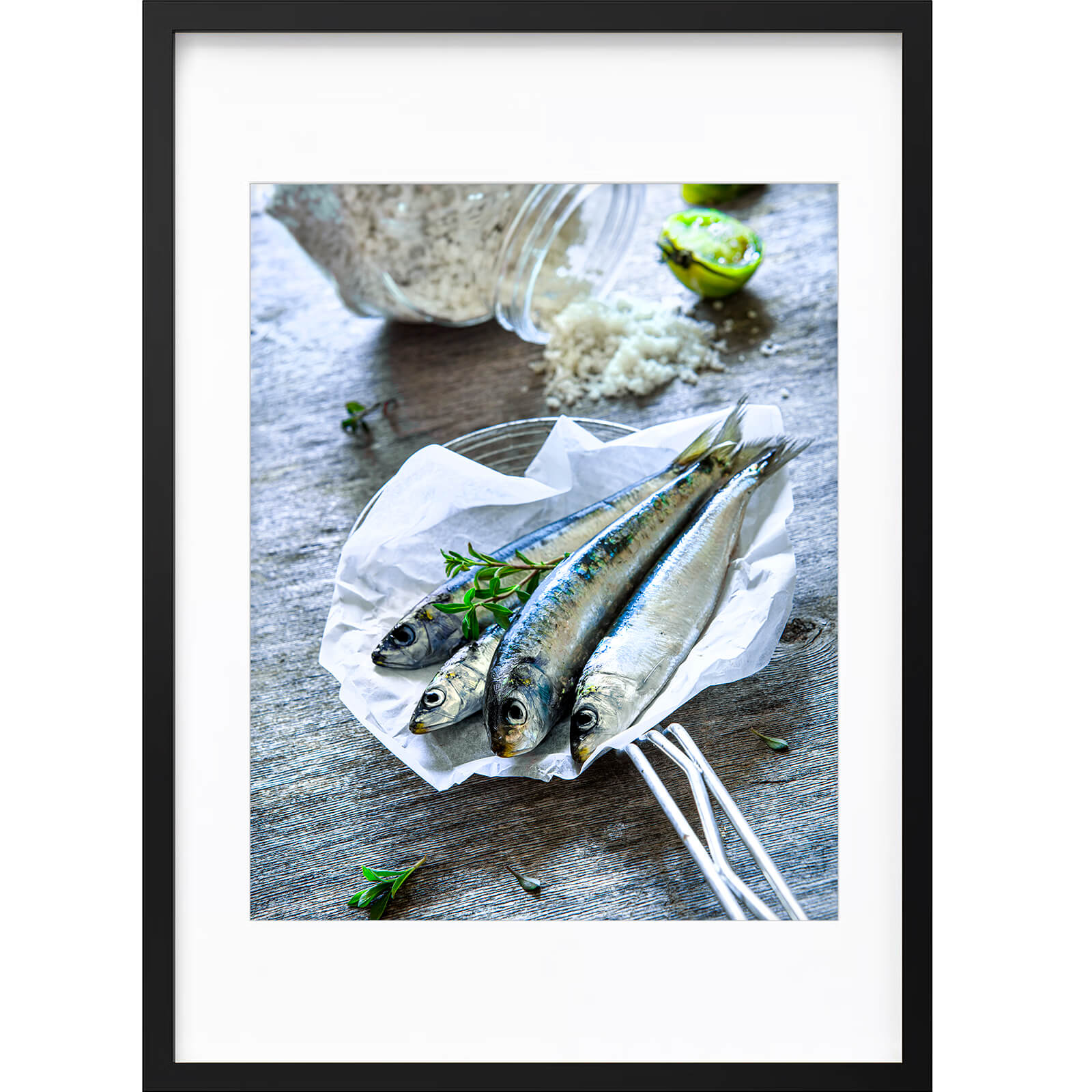 " Les Sardines " PHOTO GALERIE