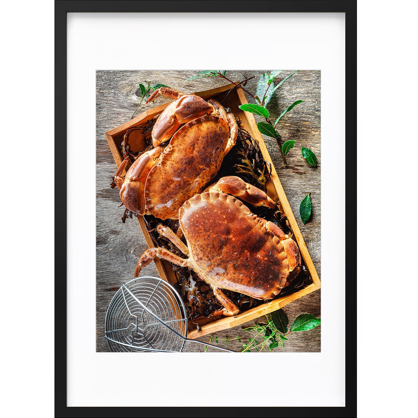 " Crabes Vivants " PHOTO GALERIE " Crabes Vivants "