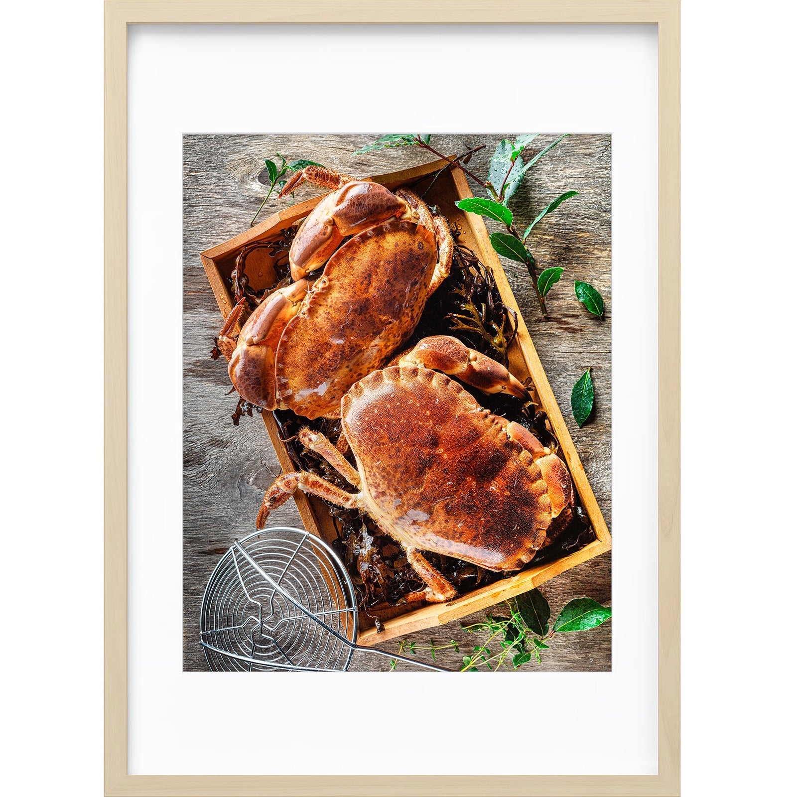 " Crabes Vivants " PHOTO GALERIE " Crabes Vivants "