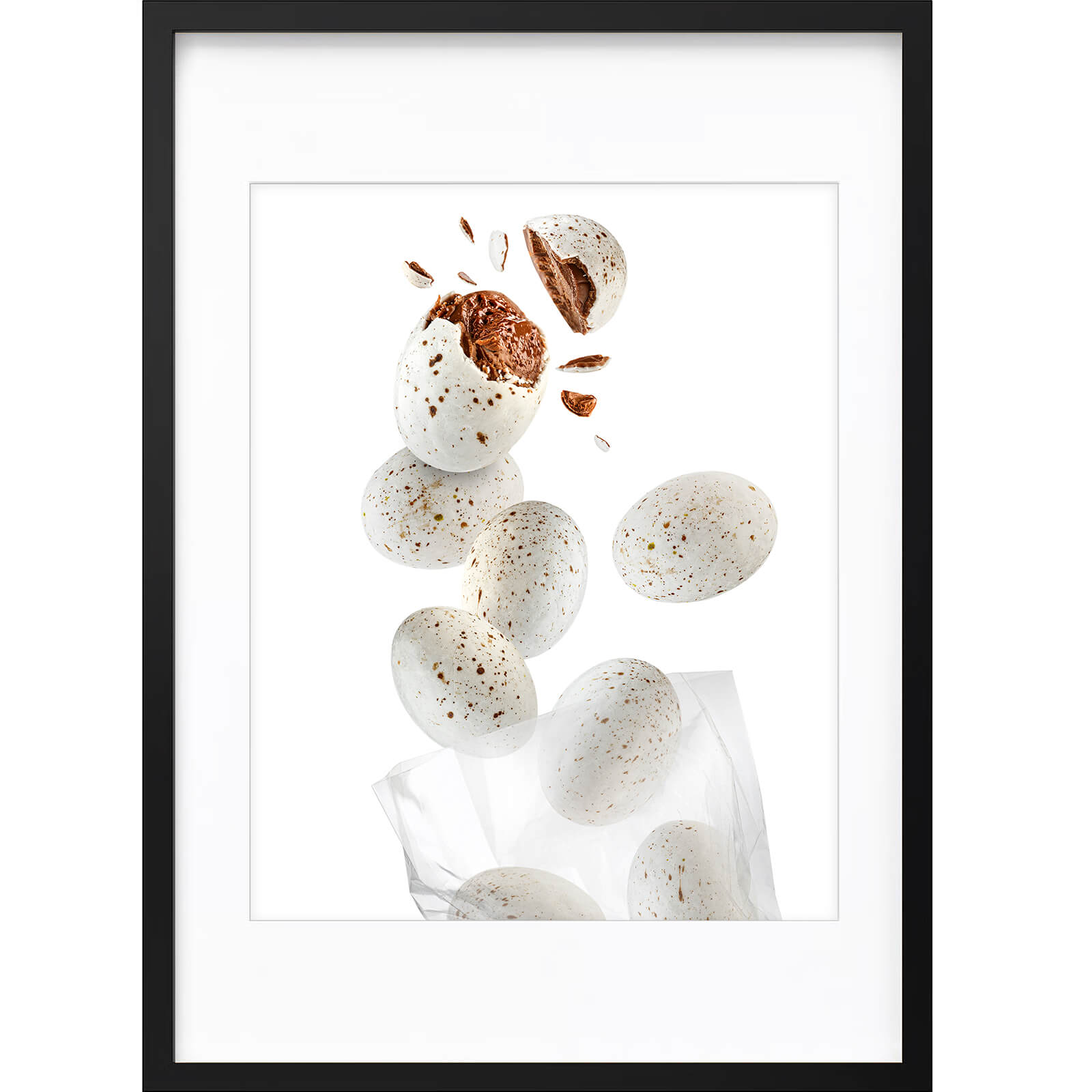" Oeufs de Mouette " PHOTO GALERIE